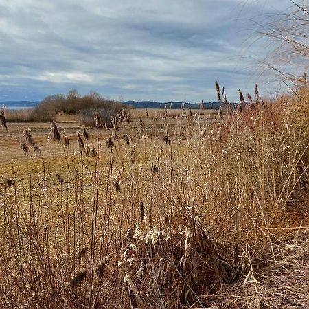 Marxhof Seebruck Am Chiemsee Seeon-Seebruck Kültér fotó