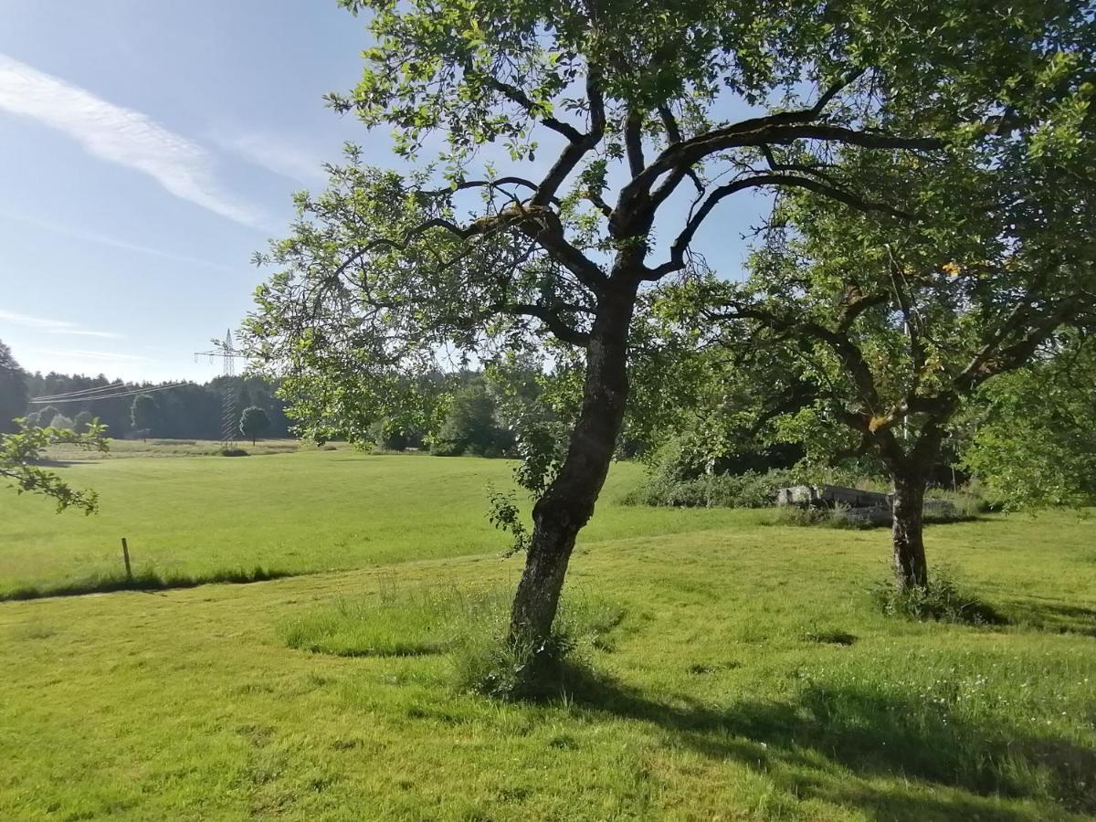 Marxhof Seebruck Am Chiemsee Seeon-Seebruck Kültér fotó