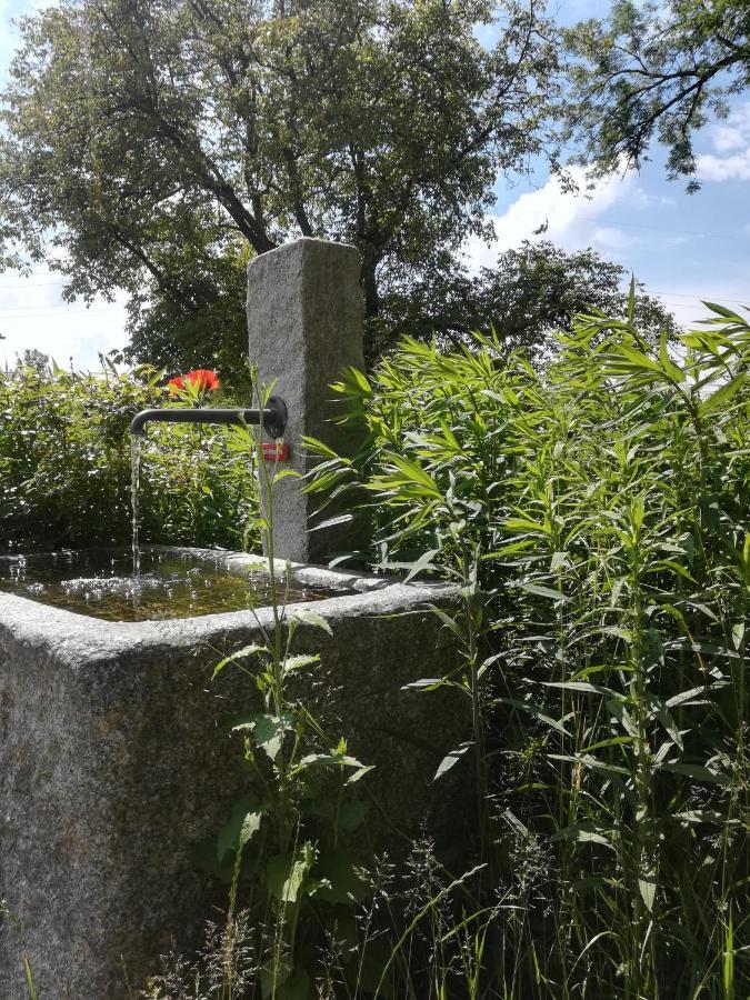 Marxhof Seebruck Am Chiemsee Seeon-Seebruck Kültér fotó