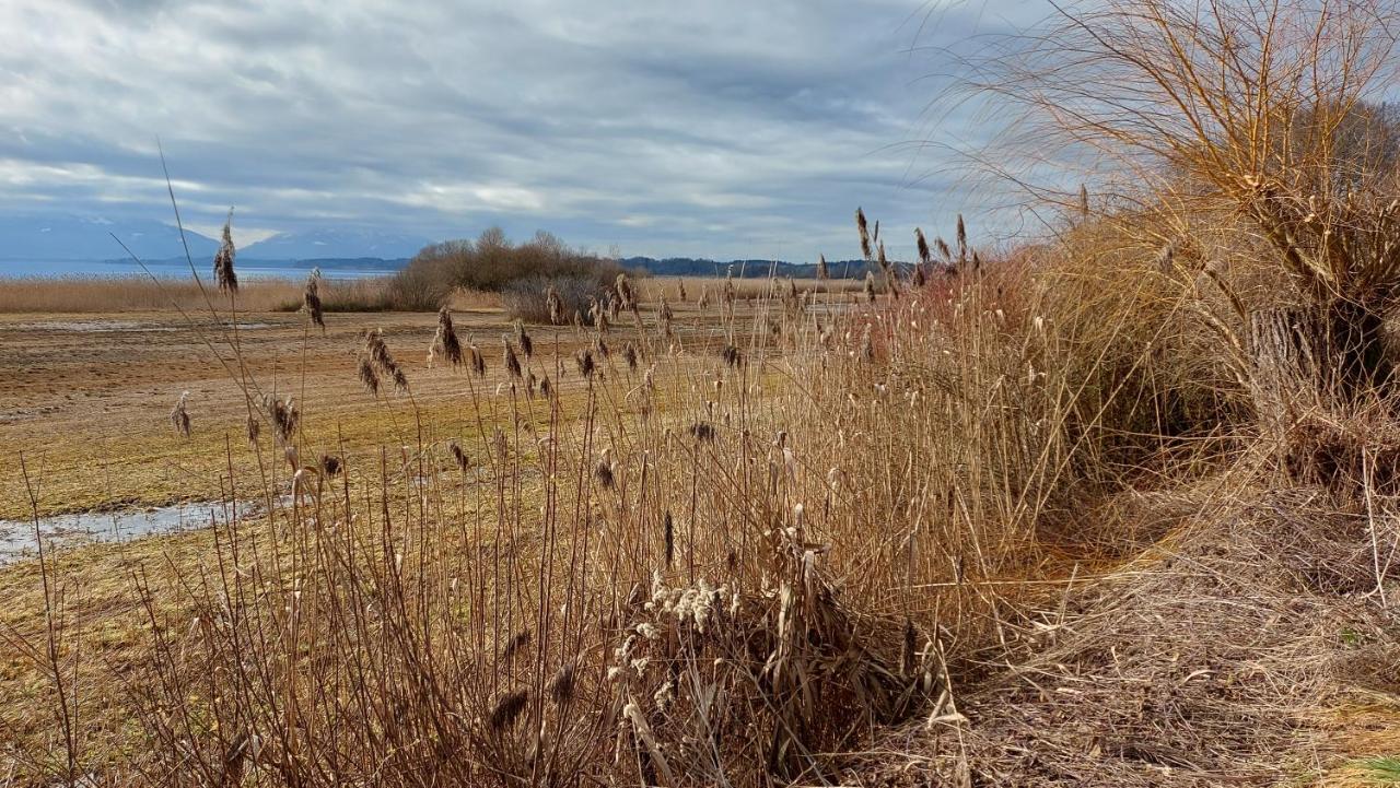 Marxhof Seebruck Am Chiemsee Seeon-Seebruck Kültér fotó